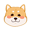 qq841628739的头像